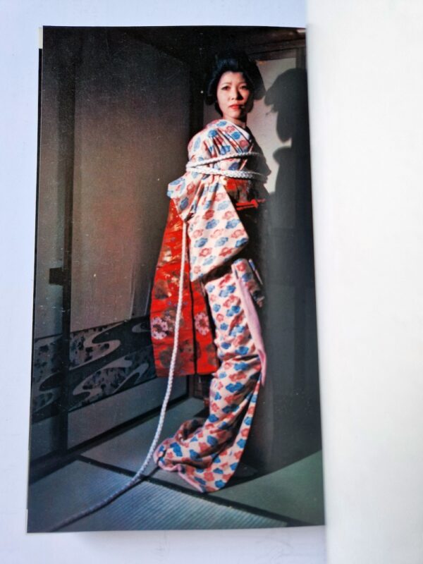 Kinbaku color deluxe version vol.1 5 Oniroku Dan bis 12
