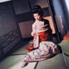 Kinbaku color deluxe version vol.1 5 Oniroku Dan bis 13