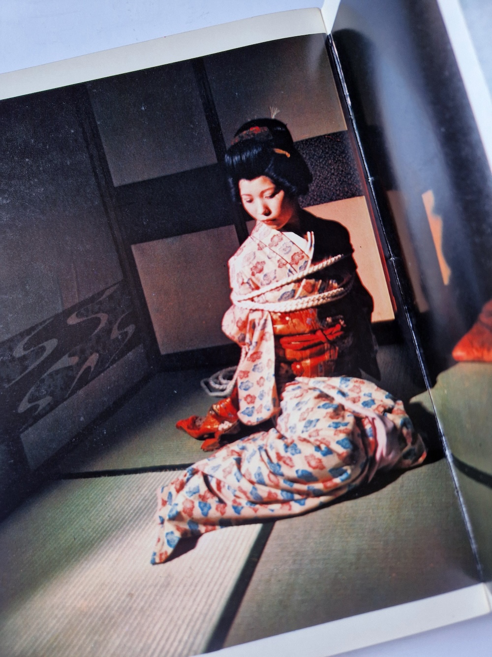 Kinbaku color deluxe version vol.1 5 Oniroku Dan bis 13