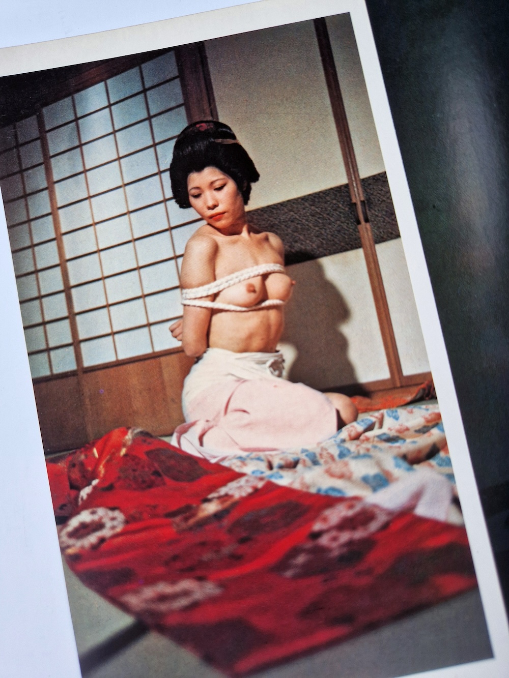 Kinbaku color deluxe version vol.1 5 Oniroku Dan bis 14