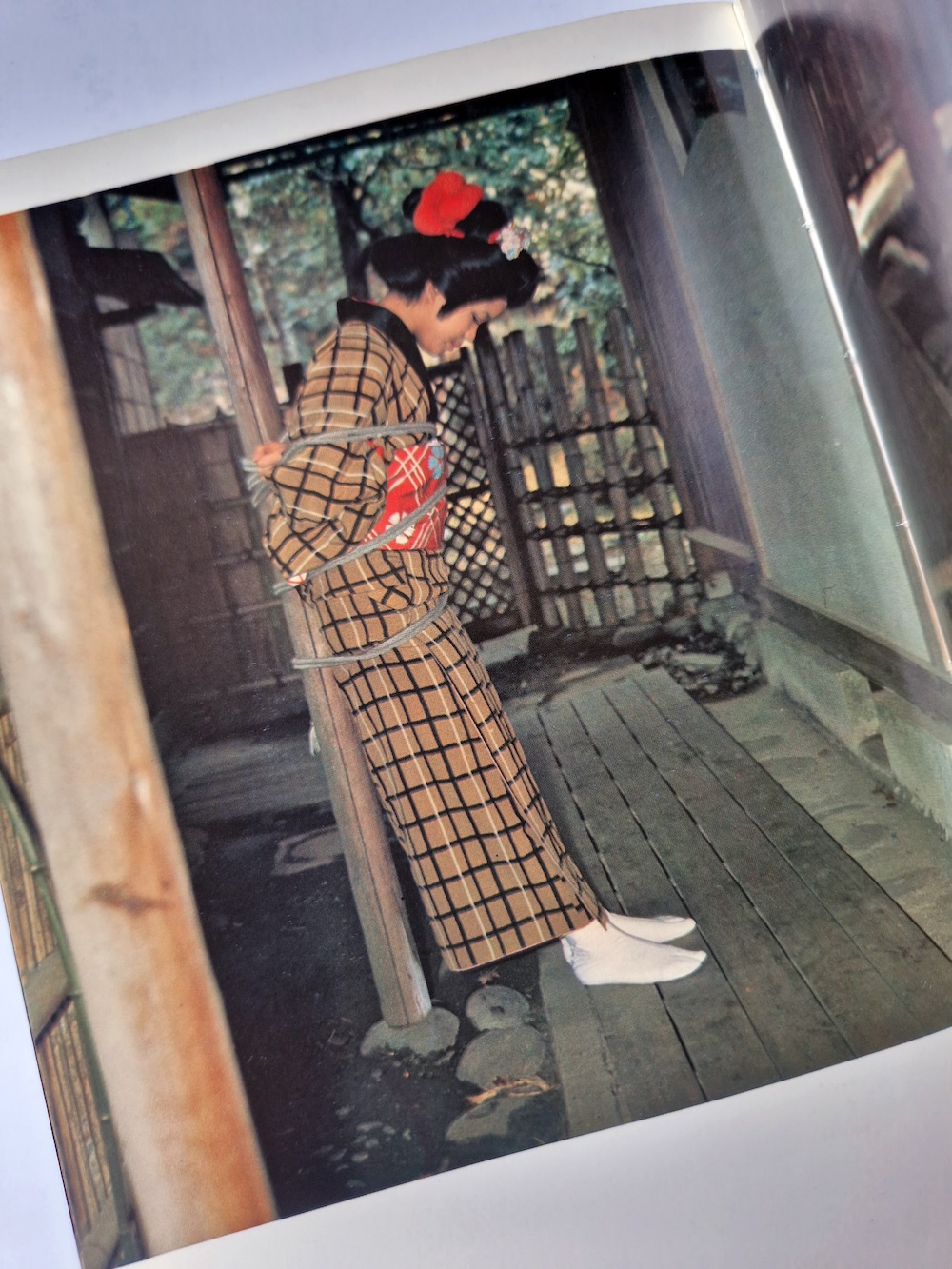 Kinbaku color deluxe version vol.1 5 Oniroku Dan bis 20