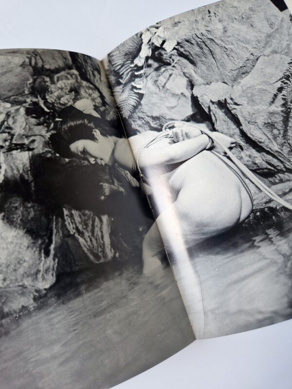 Kinbaku color deluxe version vol.1 5 Oniroku Dan bis 22