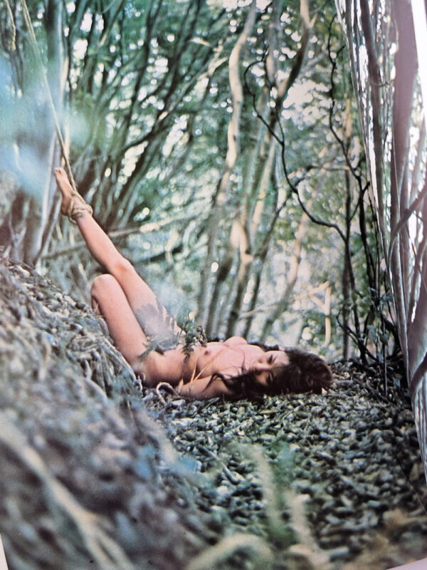 Kinbaku color deluxe version vol.1 5 Oniroku Dan bis 27