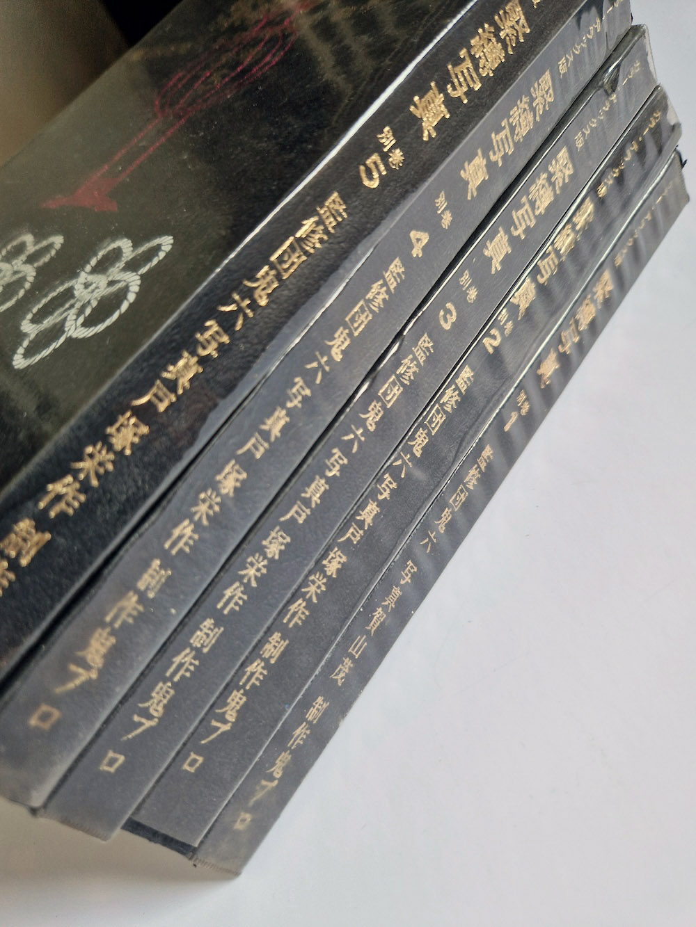 Kinbaku color deluxe version vol.1 5 Oniroku Dan bis 6