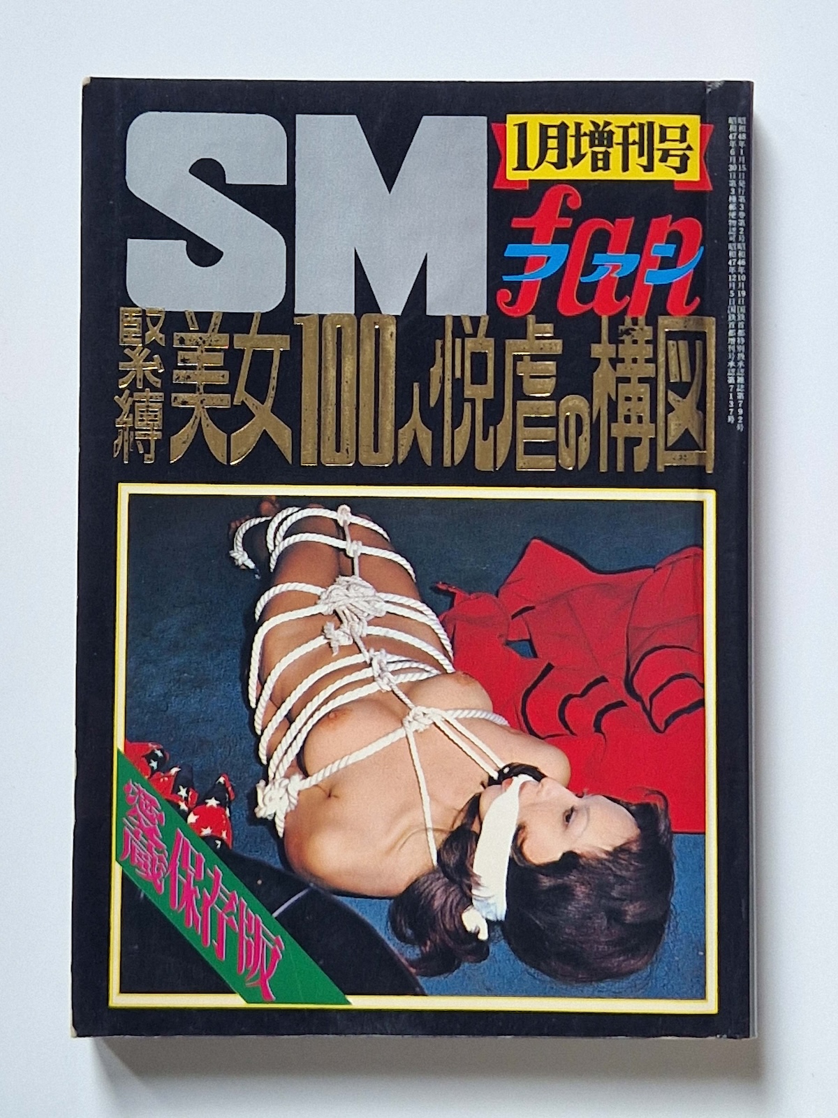 100 Bound Beauties Erotic Patterns of Torment SM Fan Special edition 1