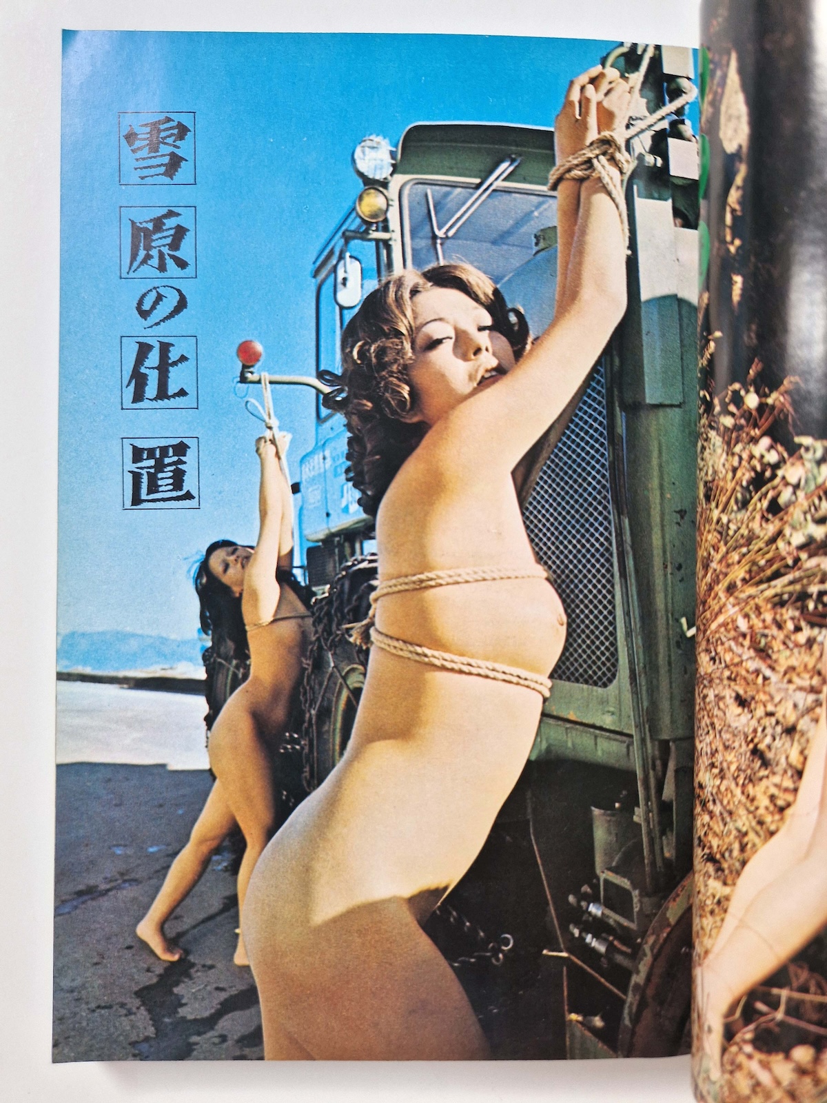 100 Bound Beauties Erotic Patterns of Torment SM Fan Special edition 10