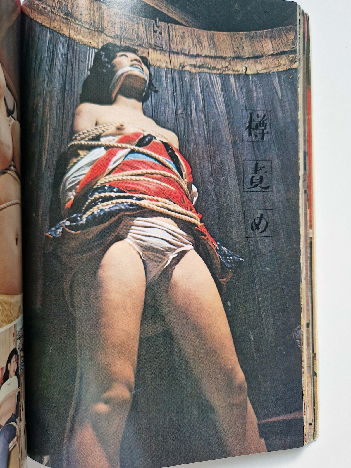 100 Bound Beauties Erotic Patterns of Torment SM Fan Special edition 11