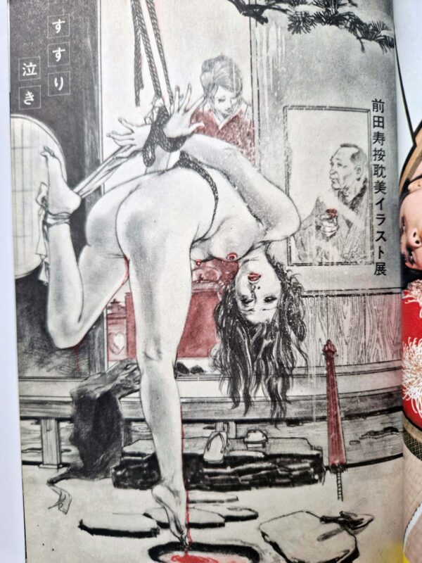 100 Bound Beauties Erotic Patterns of Torment SM Fan Special edition 14
