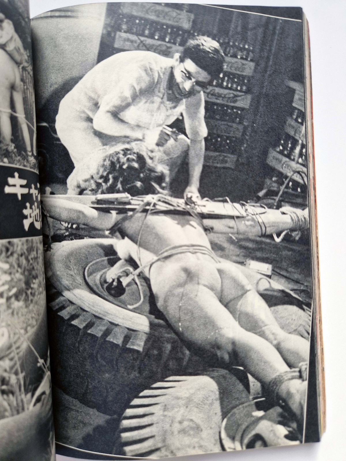 100 Bound Beauties Erotic Patterns of Torment SM Fan Special edition 18