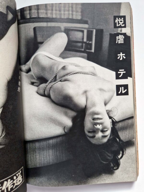 100 Bound Beauties Erotic Patterns of Torment SM Fan Special edition 20