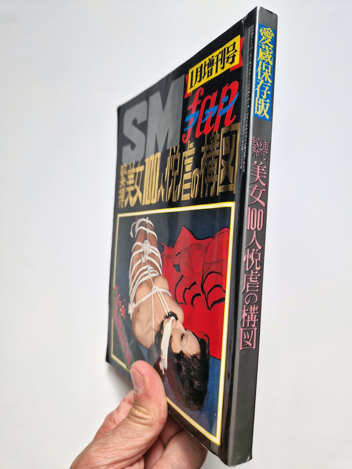 100 Bound Beauties Erotic Patterns of Torment SM Fan Special edition 3