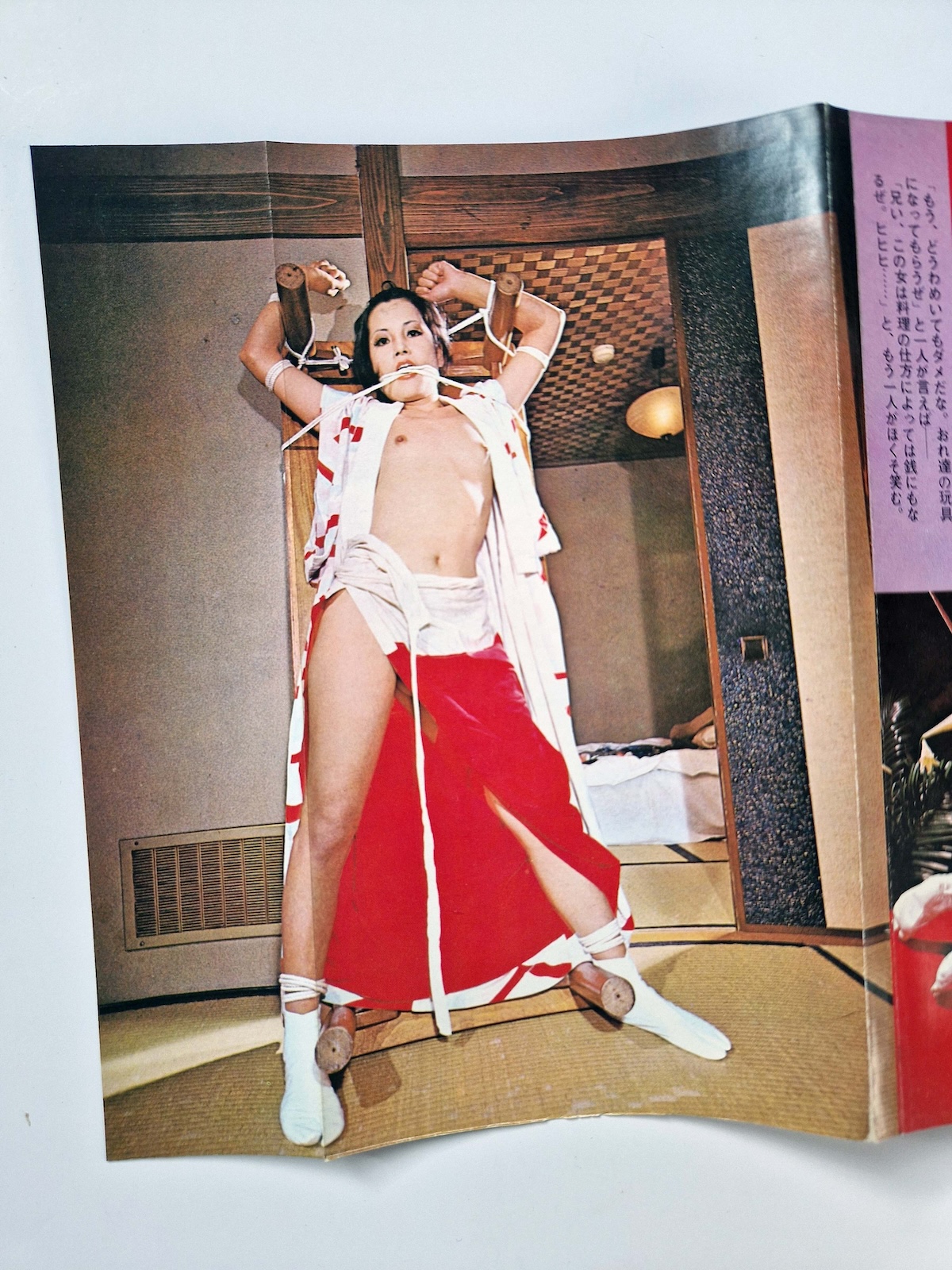 100 Bound Beauties Erotic Patterns of Torment SM Fan Special edition 5