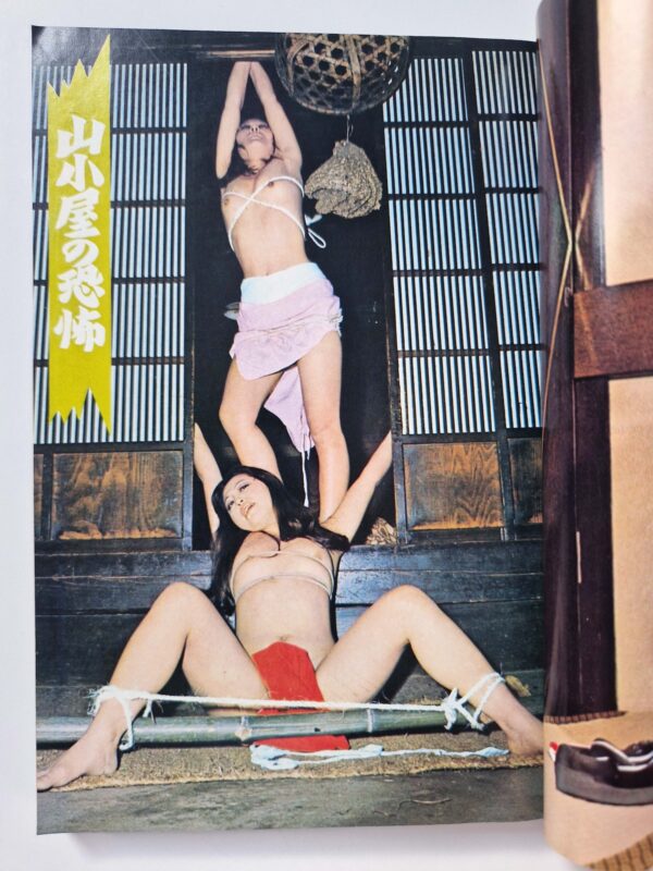 100 Bound Beauties Erotic Patterns of Torment SM Fan Special edition 9