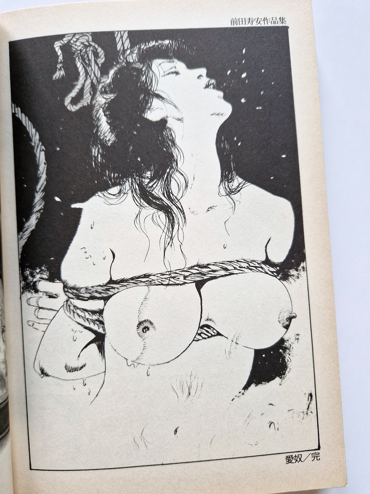 AIDO – Juan Maeda 13