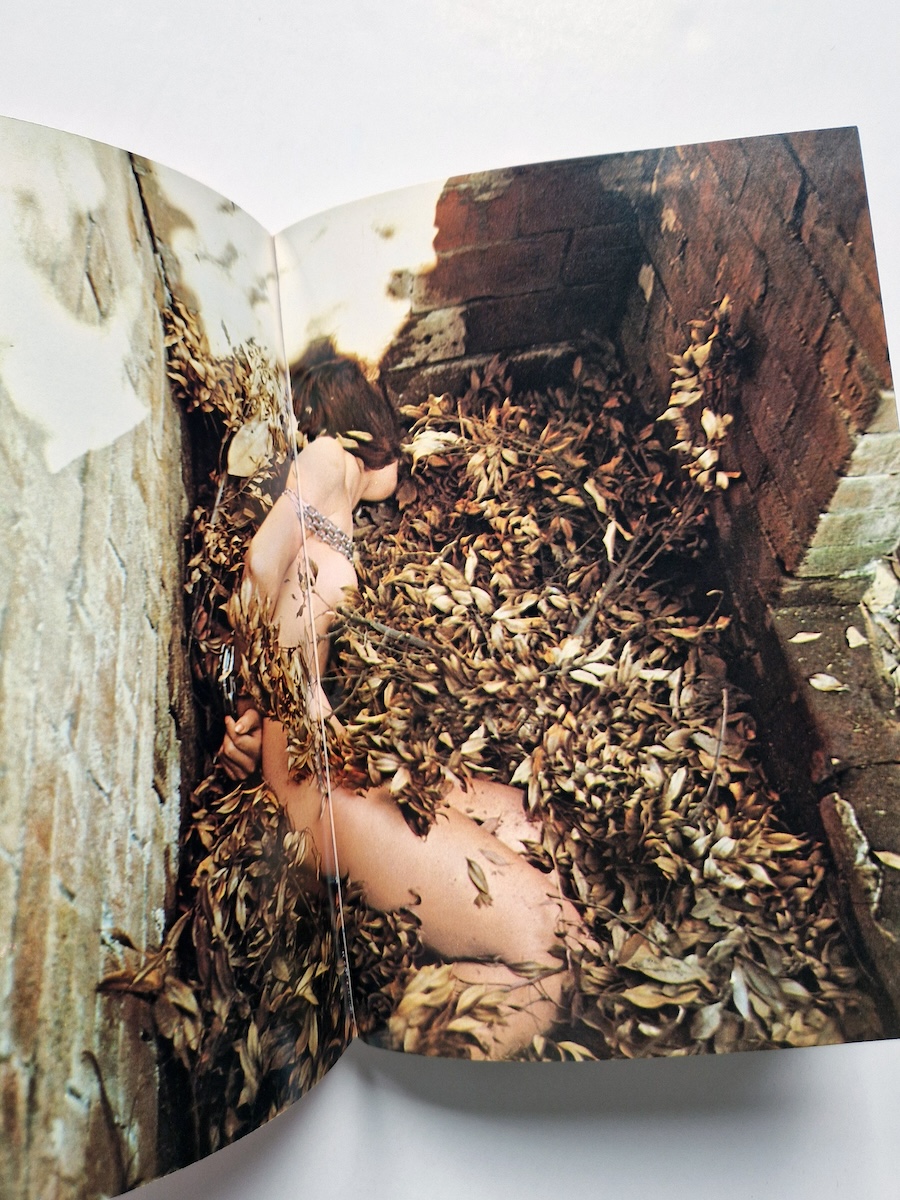 Beloved 1 Deluxe Edition Oniroku Dan 16 Beloved 1 Deluxe Edition Oniroku Dan 16