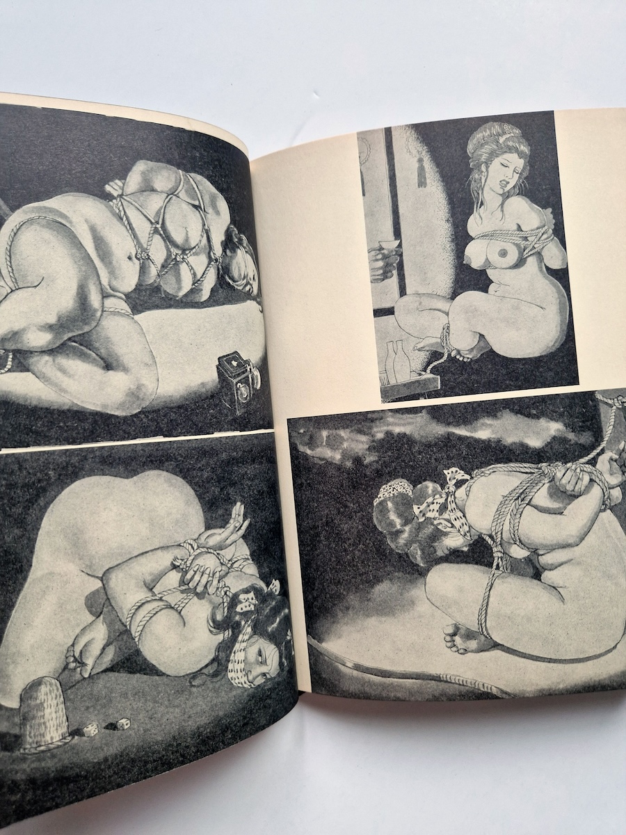 Gashu Nawa to Onna 2nde edition Yoji Muku 12