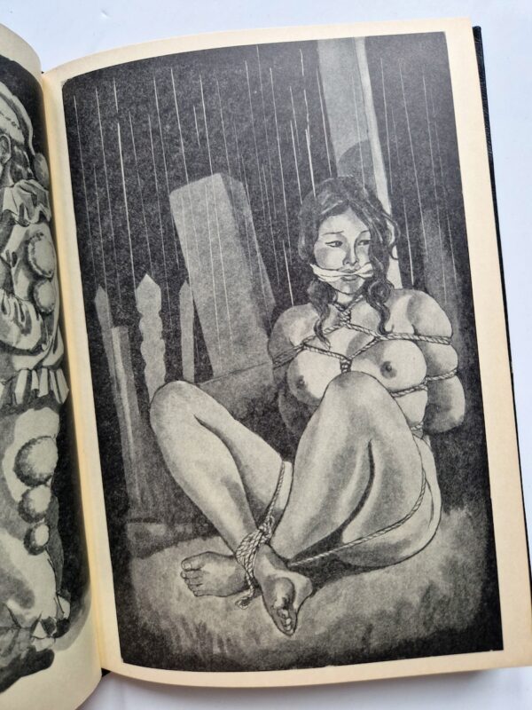 Gashu Nawa to Onna 2nde edition Yoji Muku 13