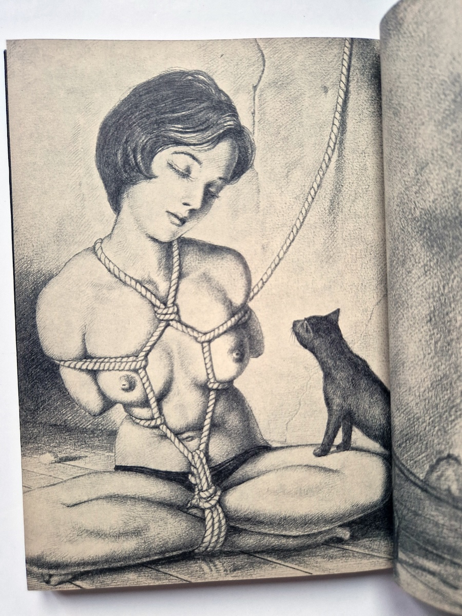 Gashu Nawa to Onna 2nde edition Yoji Muku 6