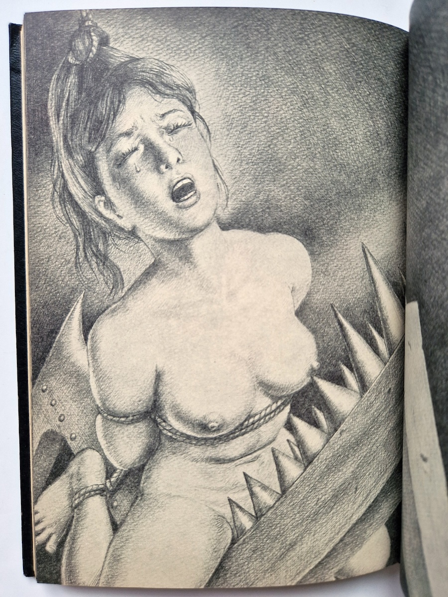 Gashu Nawa to Onna 2nde edition Yoji Muku 9