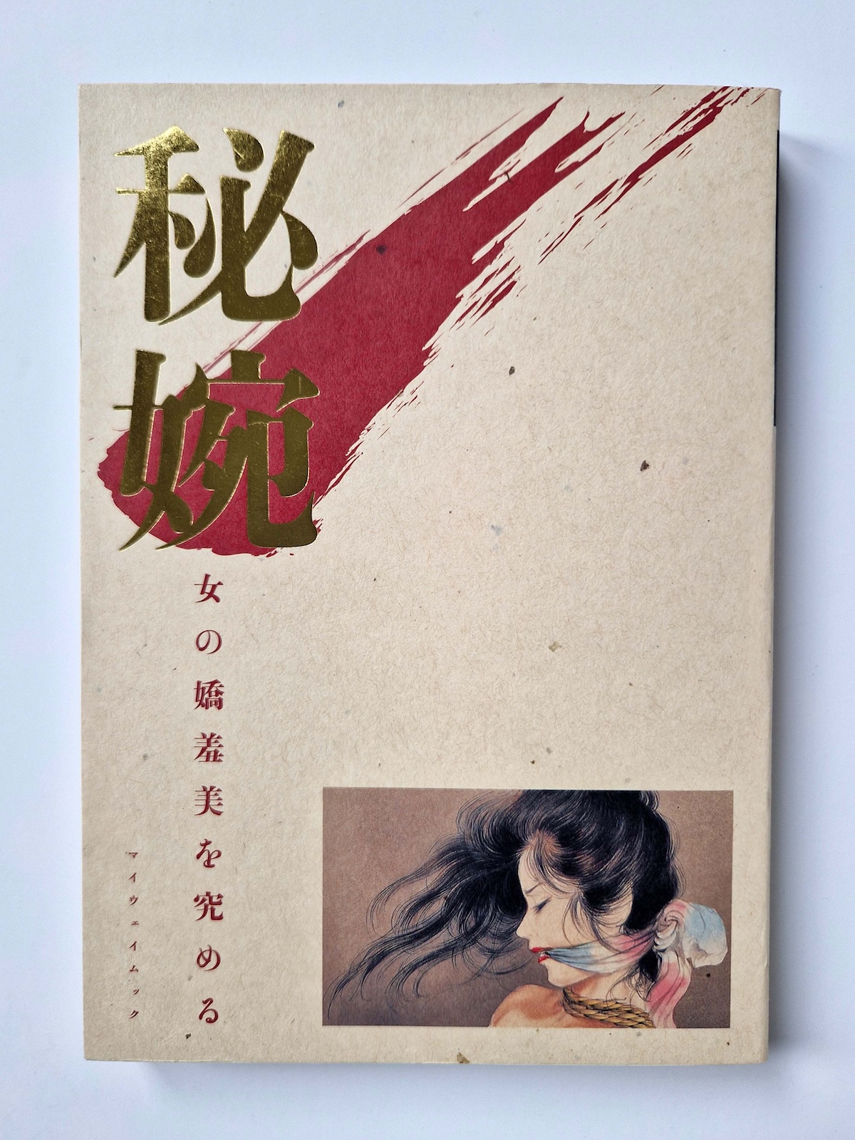 Hien Exploring the Graceful Shame of Women Anthology cover