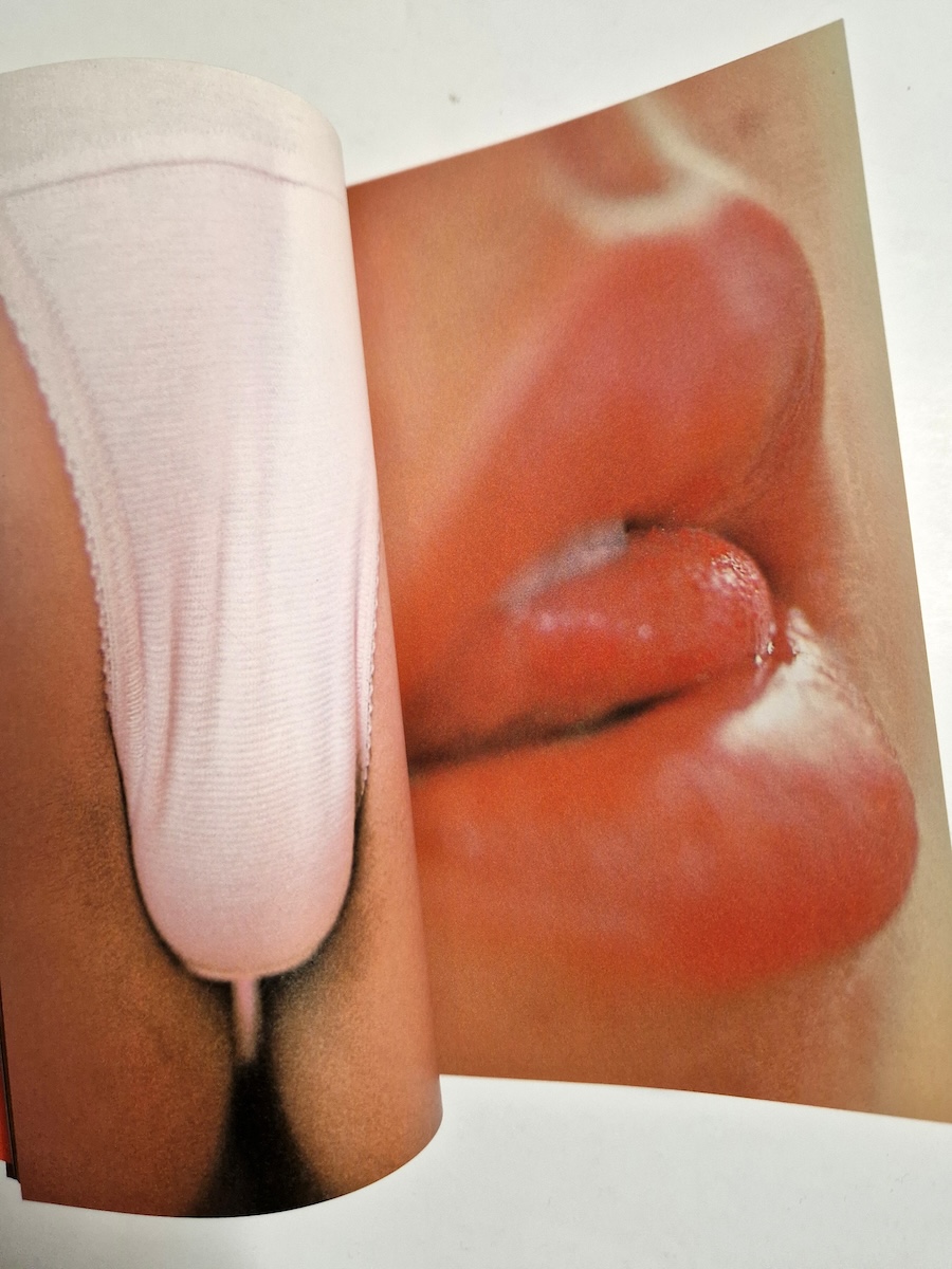 Koibitotachi Daitokuban Sexy Gals Catalogs Restock 12