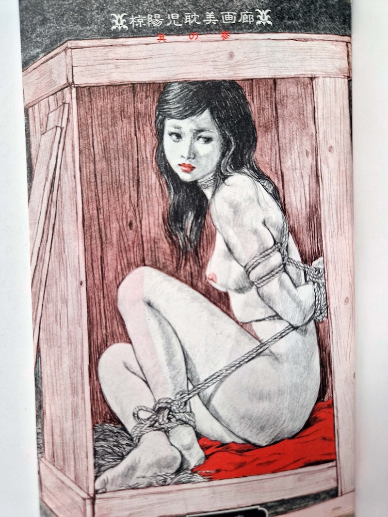 Lustful rope Yoji Muku bis1 3