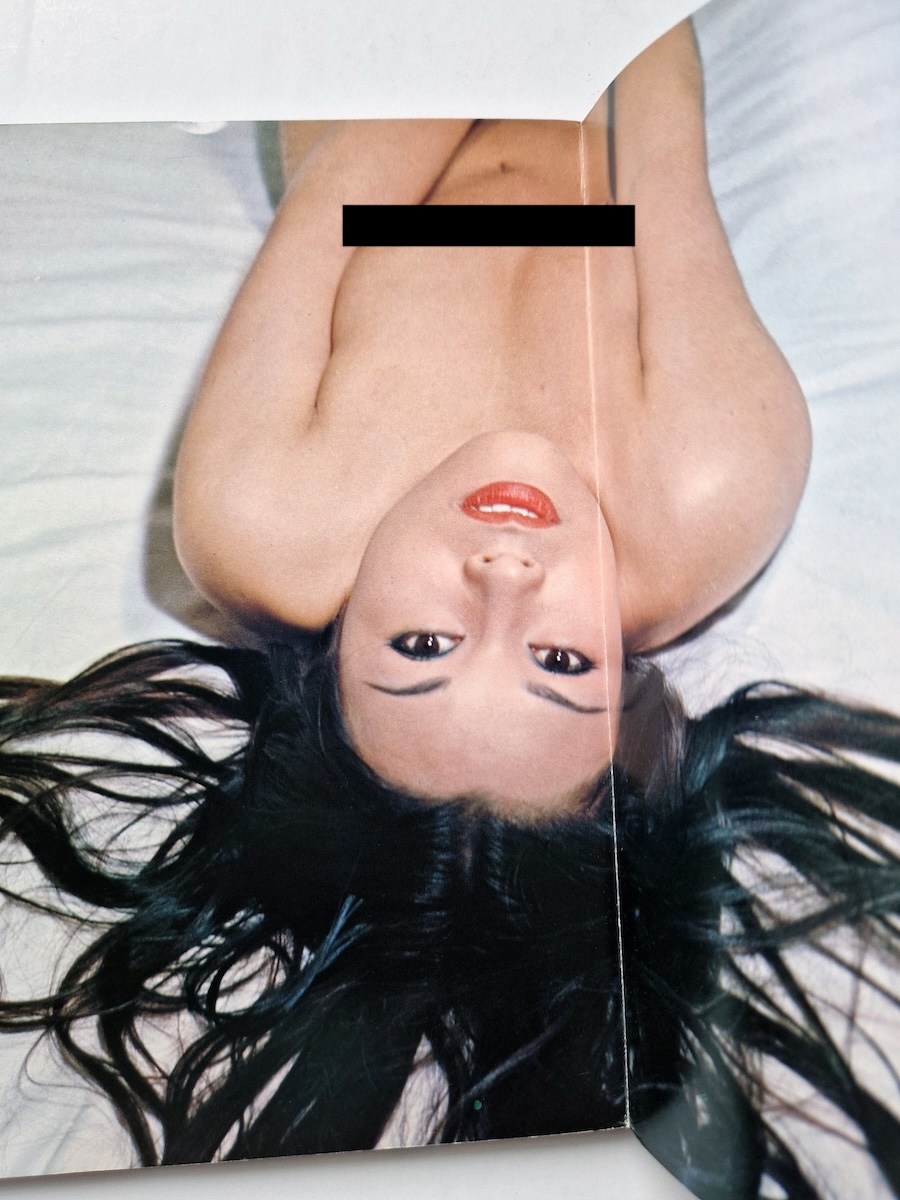 Madness of Today 4 Adult Cinema of Japan 1 censored