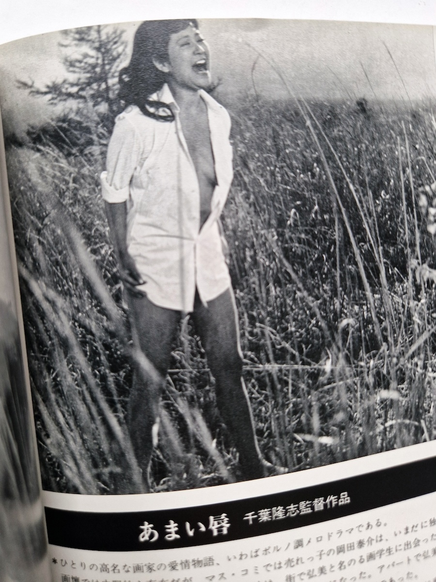 Madness of Today 4 Adult Cinema of Japan 7