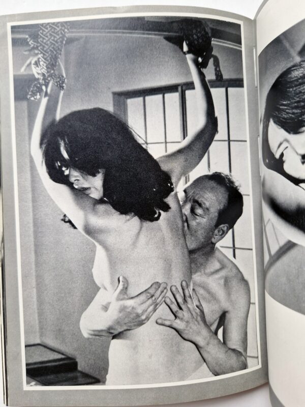 Madness of Today 4 Adult Cinema of Japan 8