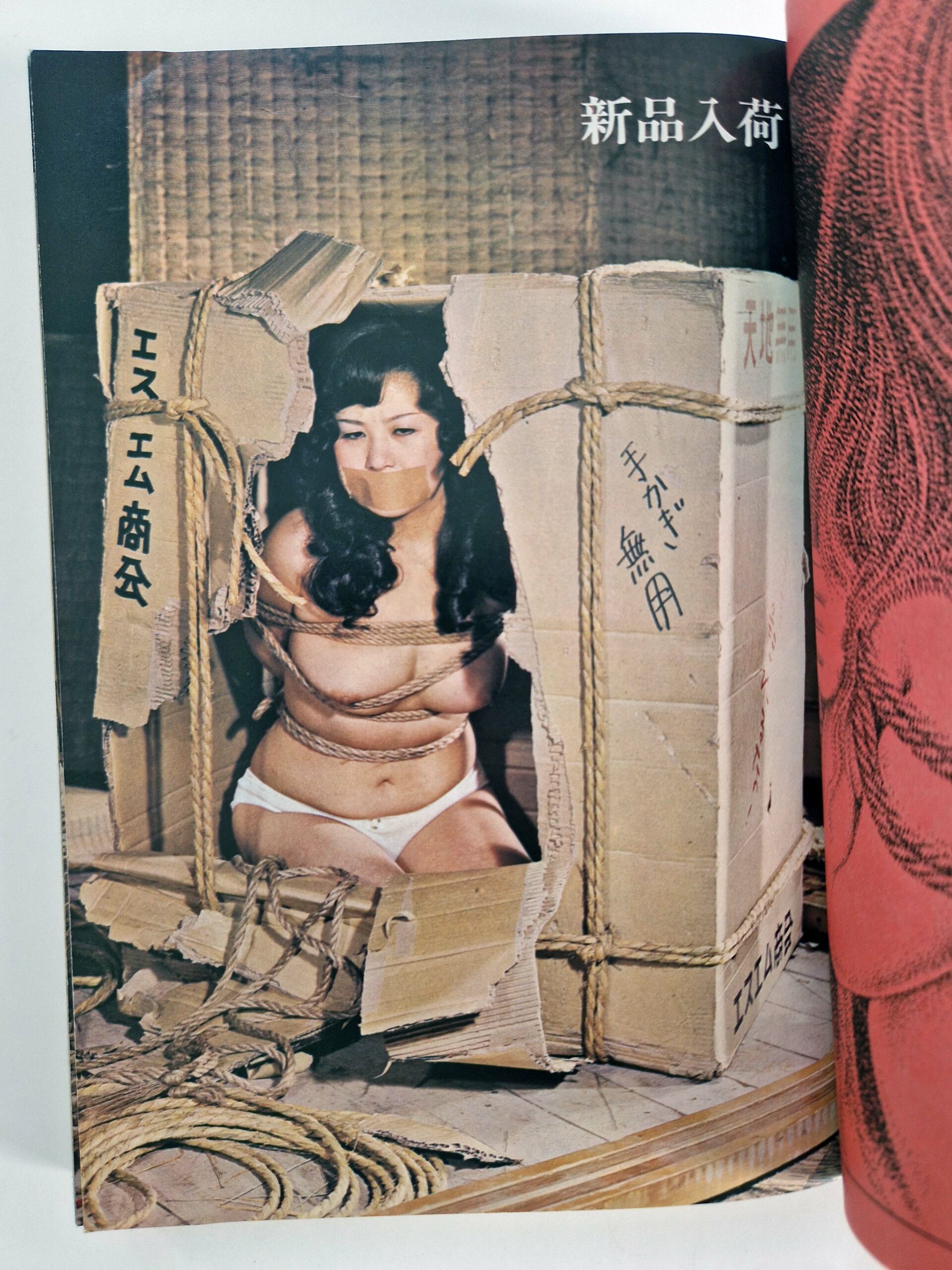 SM Colector 1975 07 3