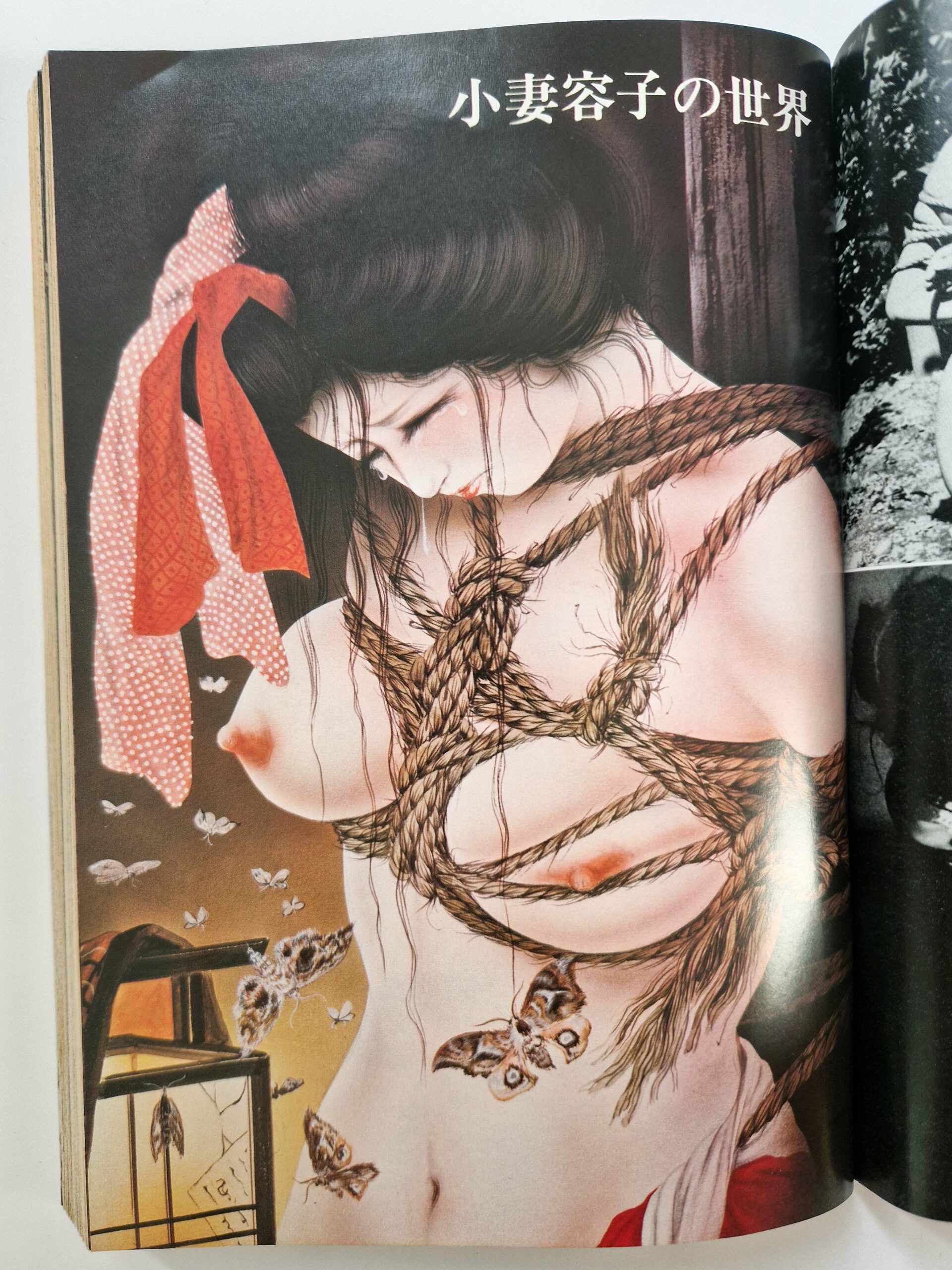 SM Colector 1975 07 7