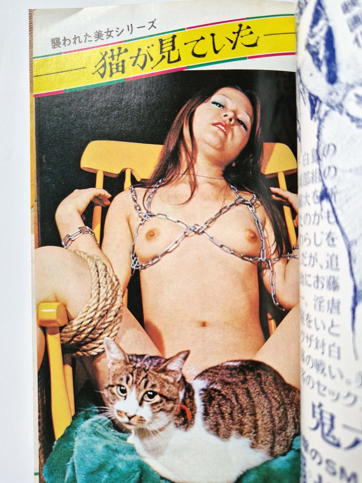 SM Fan Special Edition October 1972 4