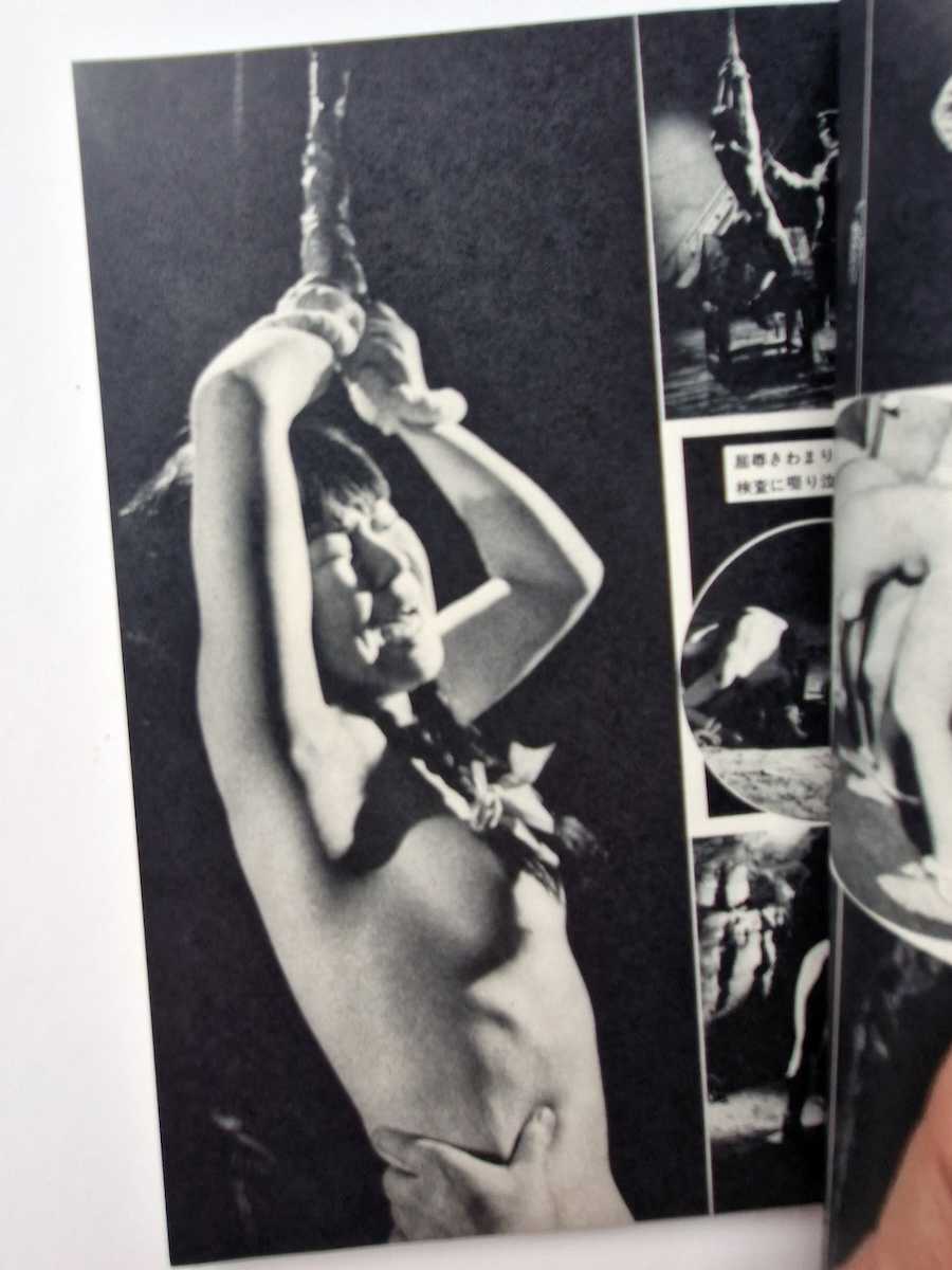 SM Frontier Special Beauty Ecstasy Collection 16