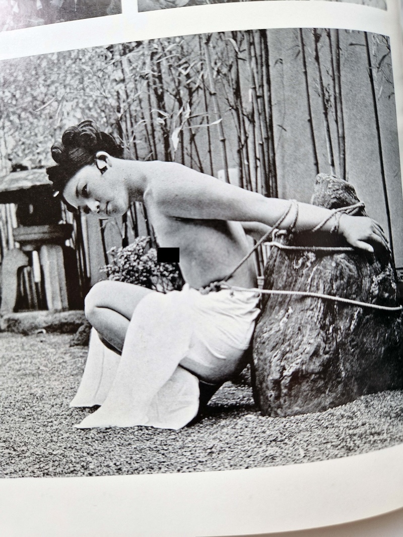 SM Photo Album – Rose Mirror Eight Playmates10