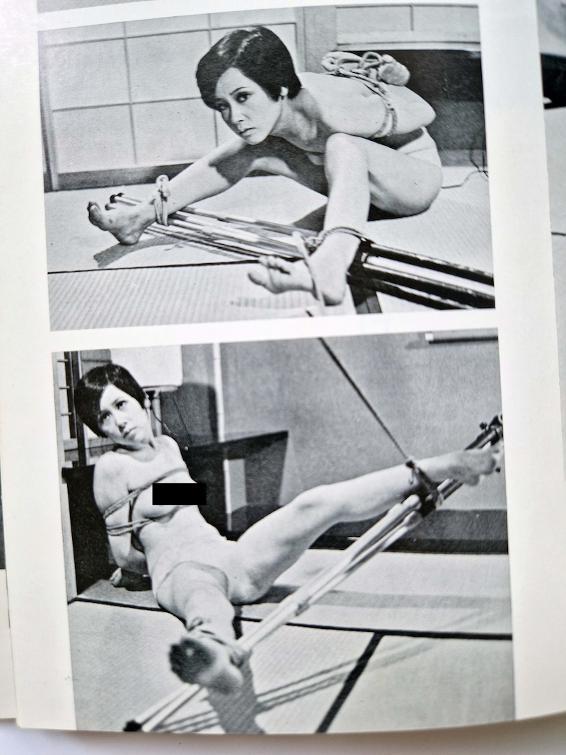 SM Photo Album – Rose Mirror Eight Playmates11