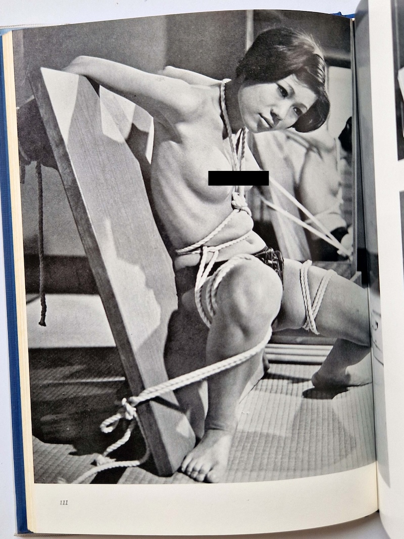 SM Photo Album – Rose Mirror Eight Playmates13