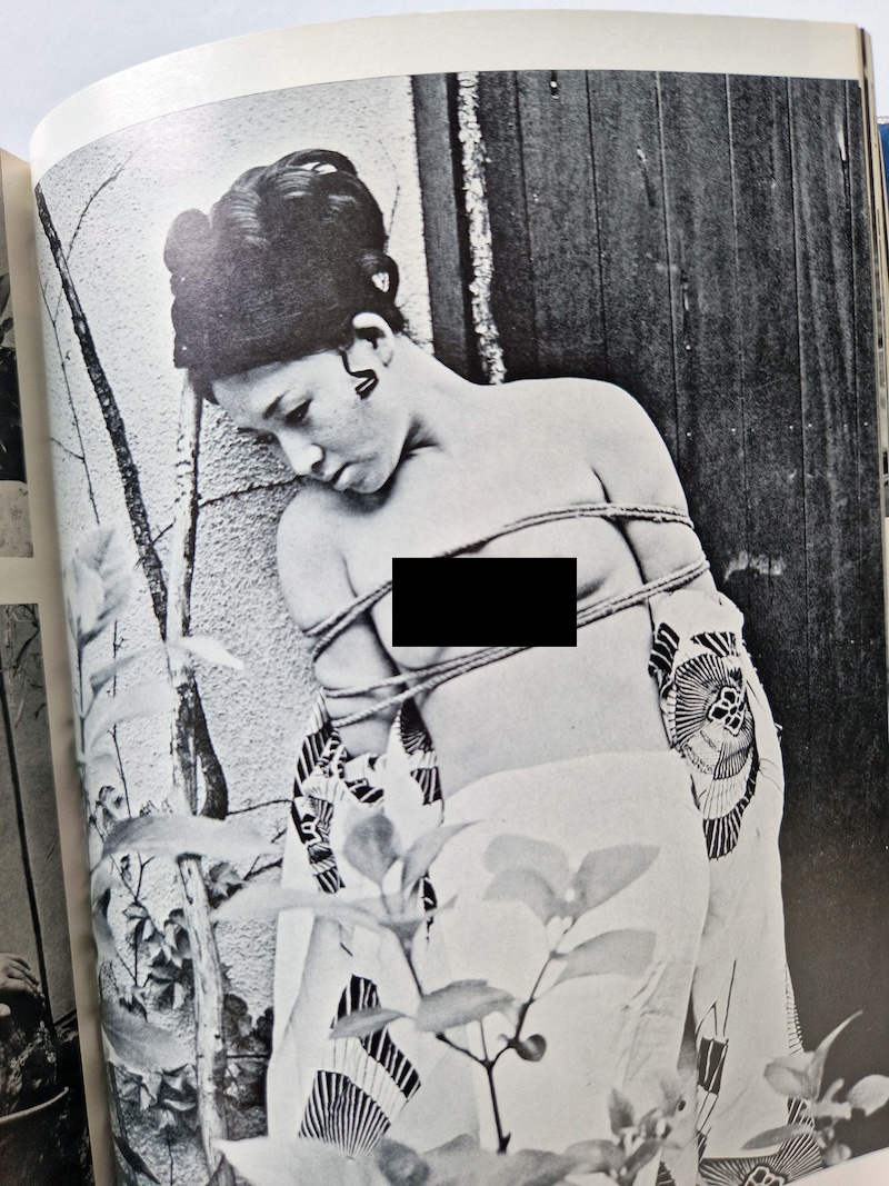 SM Photo Album – Rose Mirror Eight Playmates9