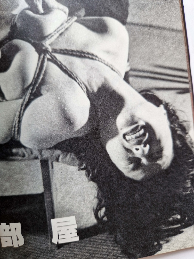 SM Photo Collection January 1981 12