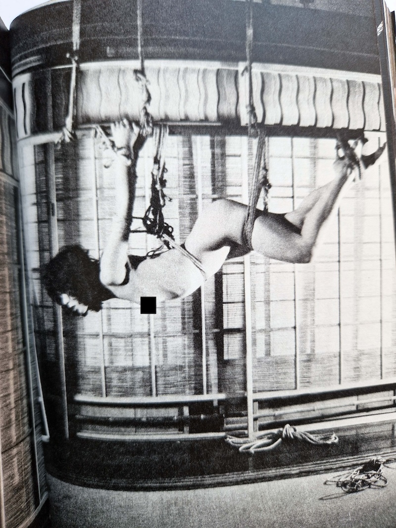 SM Photo Collection January 1981 15