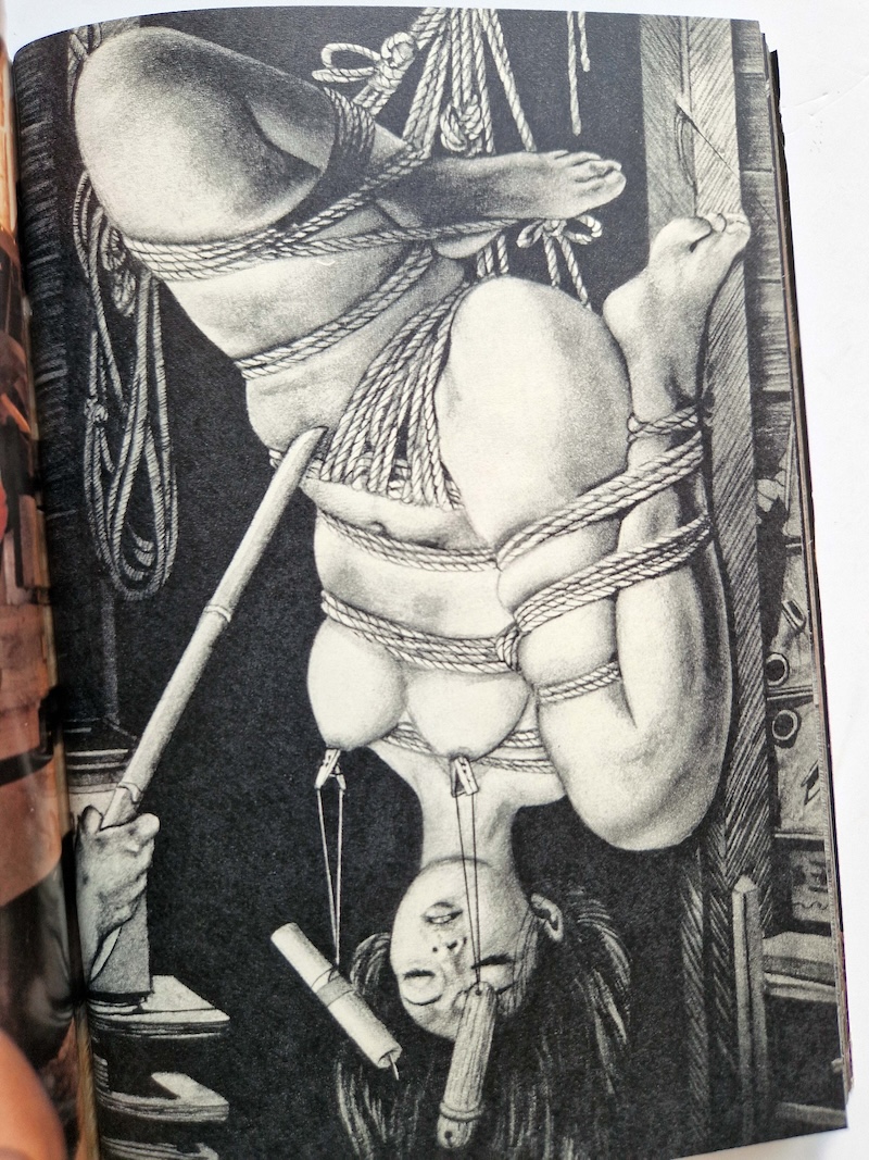 SM Photo Collection January 1981 16