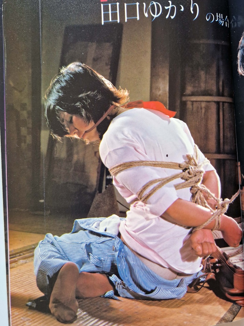 SM Photo Collection January 1981 4