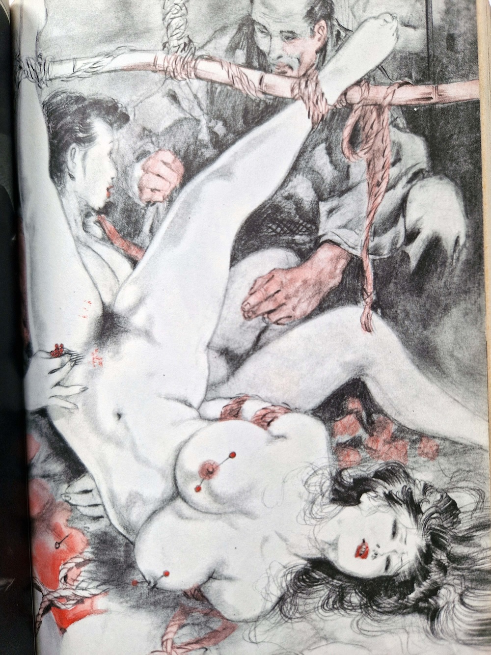 SM Secret Novel May 1984 17