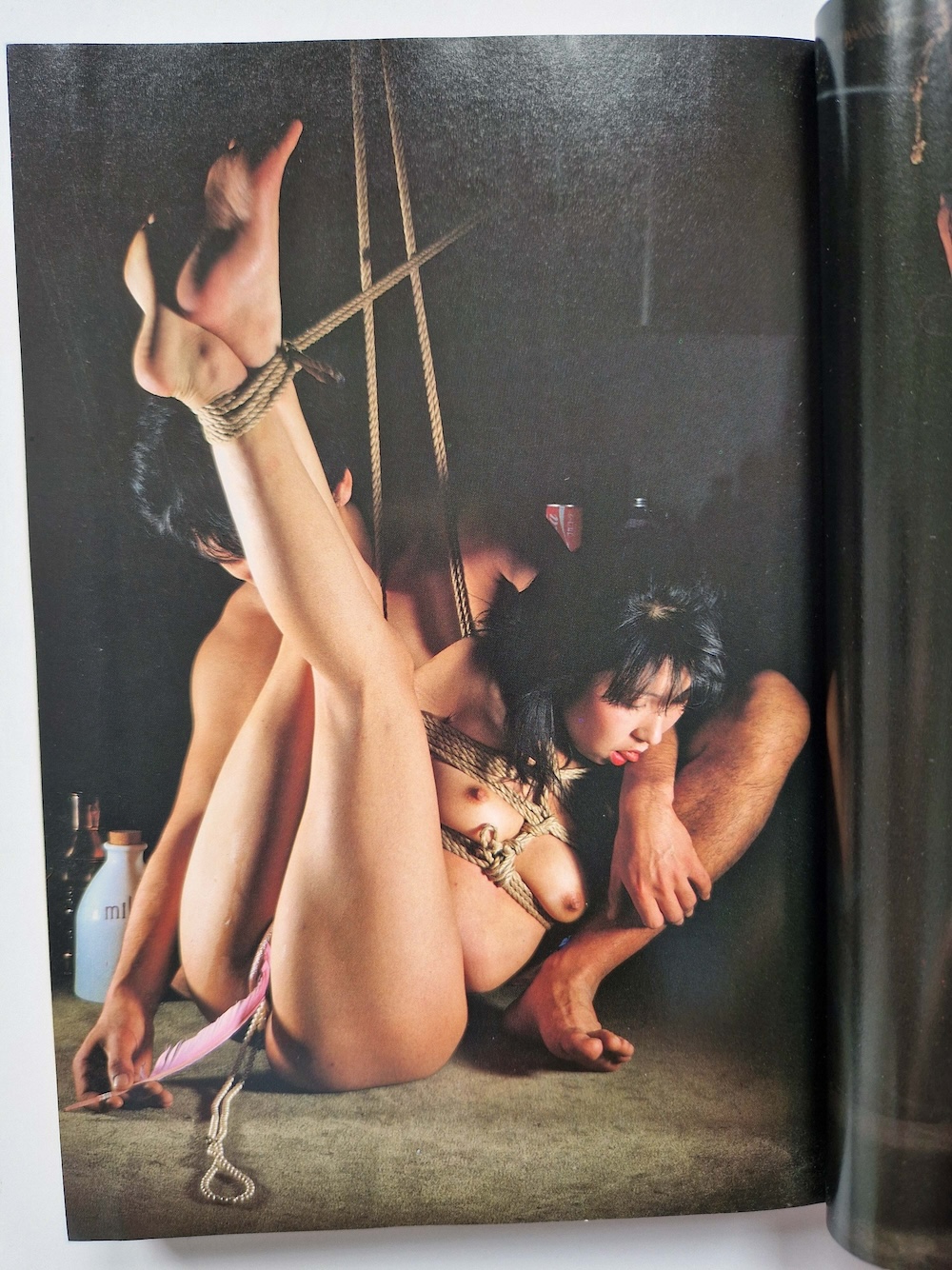 SM Secret Novel May 1984 5