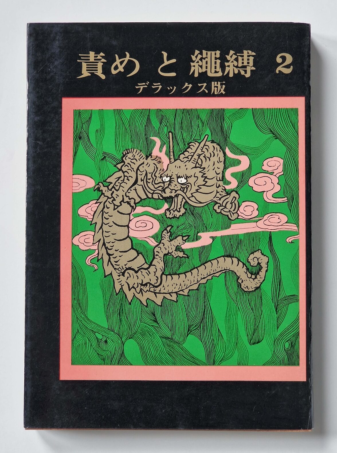 Seme to Nawabari 2 cover