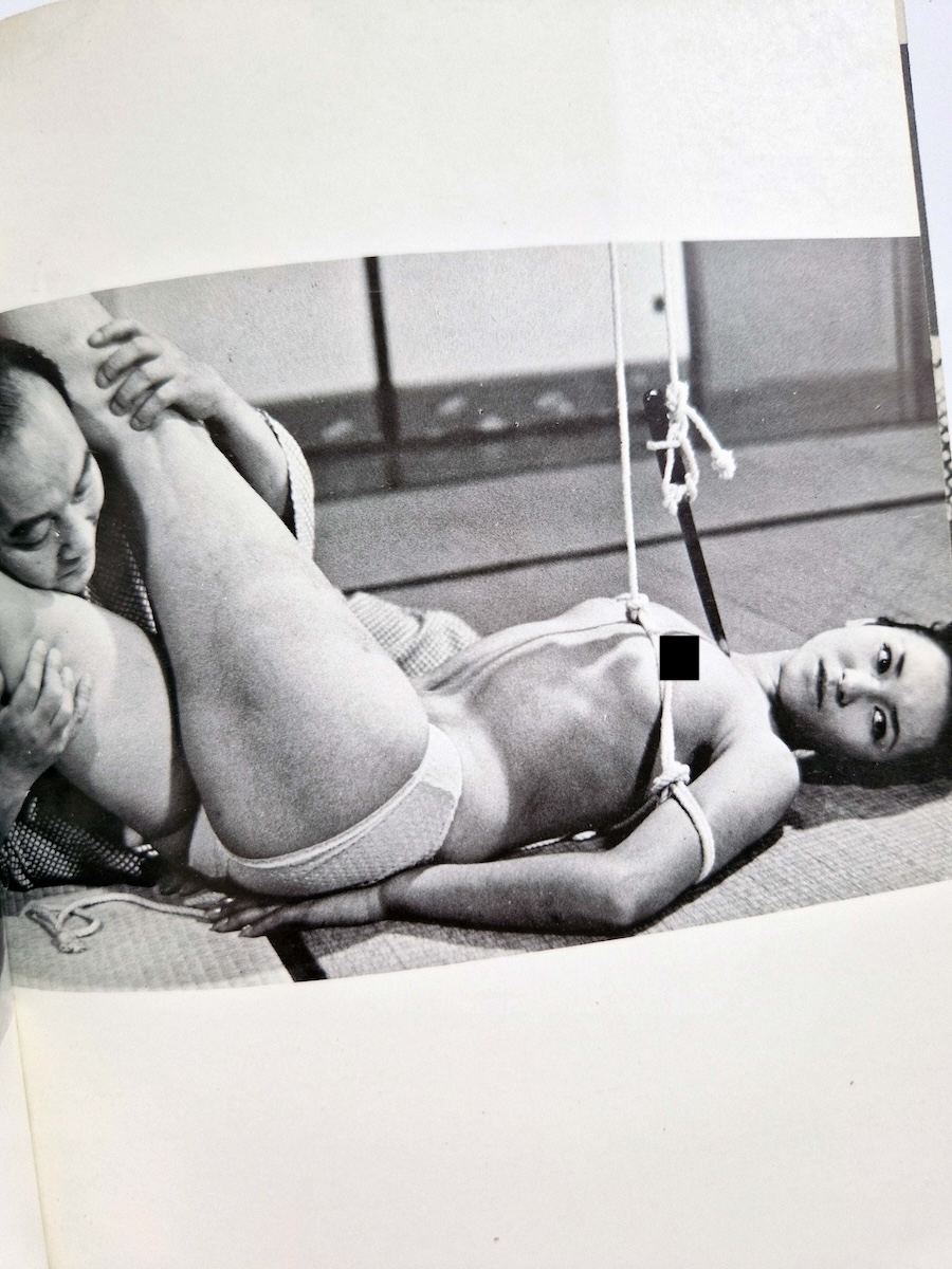 Seme to Shibarinawa 1 Deluxe Edition 11