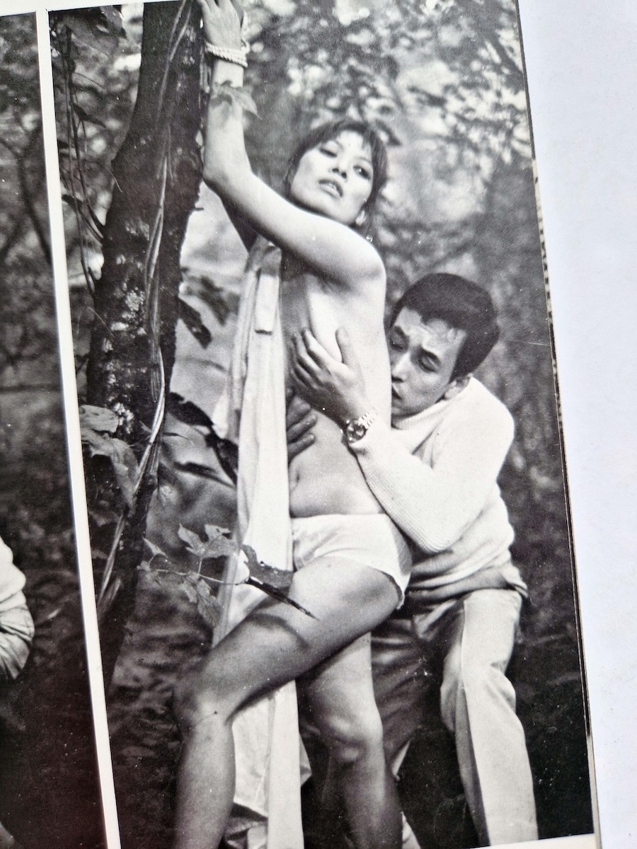 Seme to Shibarinawa 1 Deluxe Edition 12