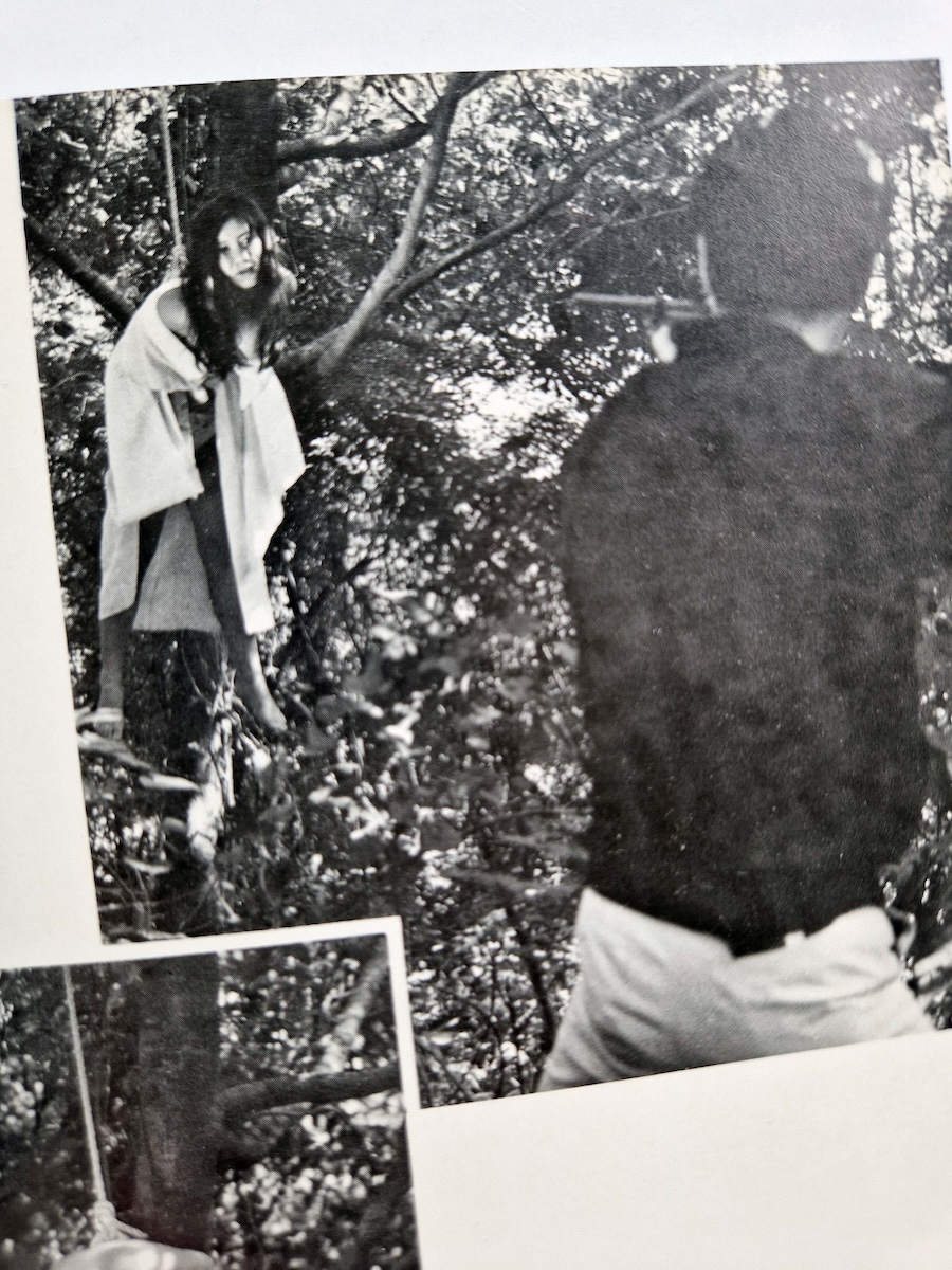 Seme to Shibarinawa 1 Deluxe Edition 13