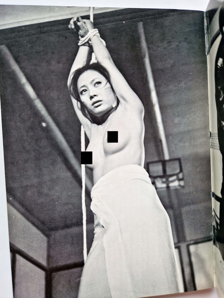 Seme to Shibarinawa 1 Deluxe Edition 7