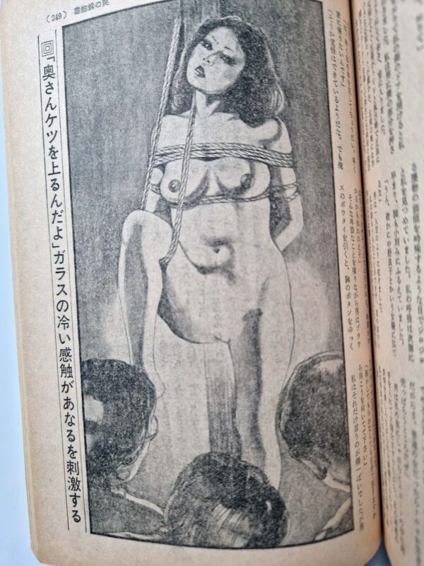 Shōsetsu SM Select February 1979 22