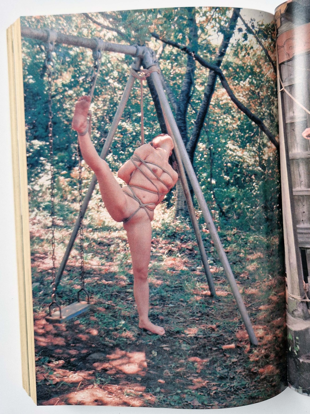 Shōsetsu SM Select November 1981 15